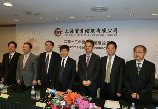 上海實業(yè)續(xù)力拓光伏項目