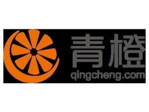 上海青橙實(shí)業(yè)與上海實(shí)業(yè) 探究企業(yè)名稱背后的戰(zhàn)略定位與市場角色